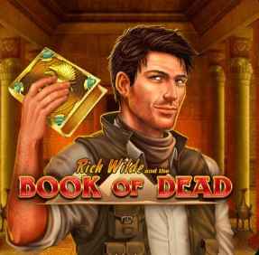 Book of Dead slot game